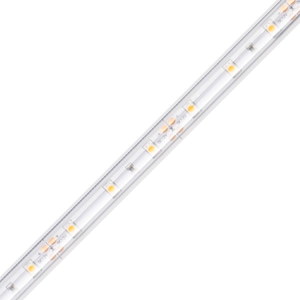 Diode Led 100 Wet Location Strip Light, 24V, 3000K, 16.4 ft. Spool DI
